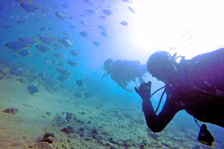 Wave Break Island Snorkel Tour on the Gold Coast