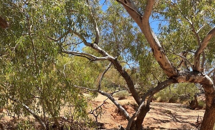 Image 4: Full day The Painted Desert Tour in Outback South Australia