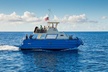 Oahu Whale Watching Excursion - Second Medium