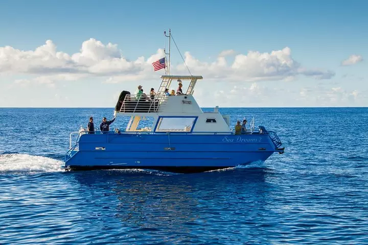 Waikiki Deluxe Catamaran Whale Watch