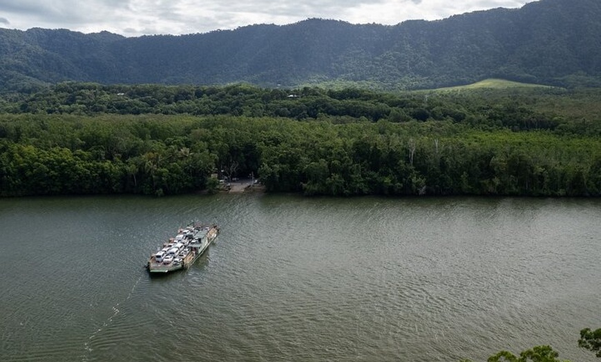 Image 4: Half Day Tour to Daintree Rainforest and Mossman Gorge