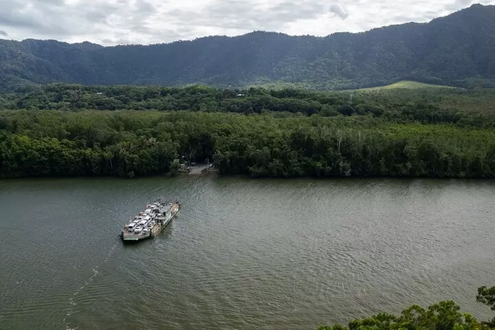 Half Day Tour to Daintree Rainforest and Mossman Gorge - Primary Image