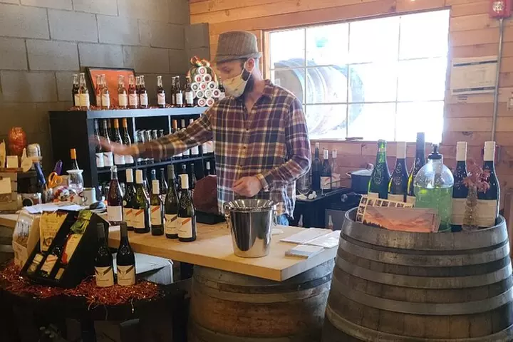 Willamette Valley Wine Tour with Lunch