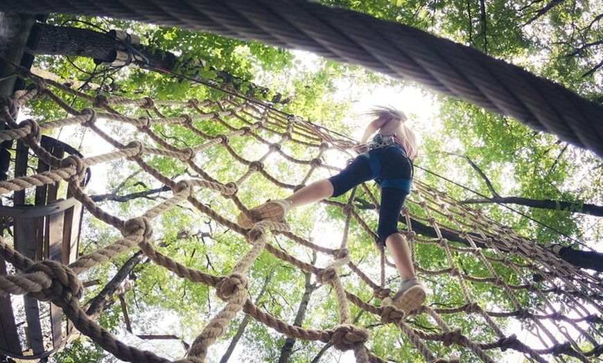 Image 3: High Ropes and Adventure Tree Top Experience