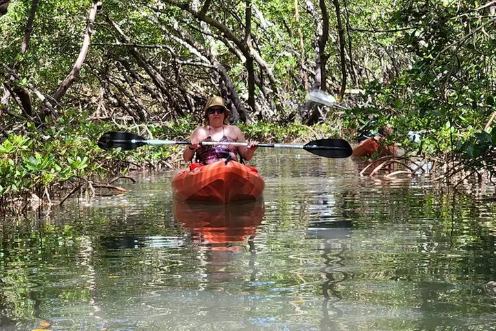 Guided Dolphin Eco Tour by Kayak & SUP - Fort Myers Beach, FL