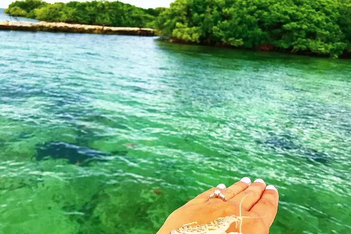 Florida Key Private Islands Exclusive Day Trip from Miami w/activ