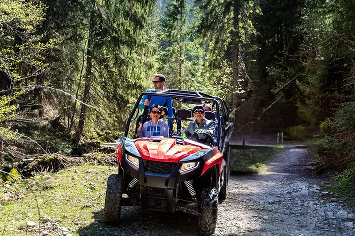 Full-Day 4-Seater Can-Am Commander Max UTV Rental - Primary Image