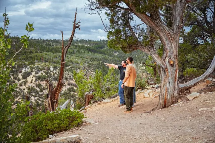 East Zion East Rim Jeep Tour