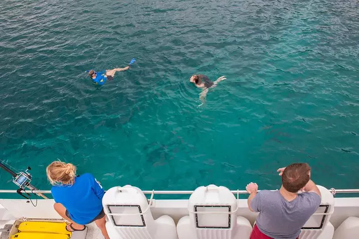 Four Winds Molokini Snorkeling Tour from Maalaea Harbor