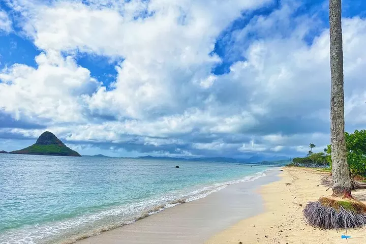 Oahu Island Experience feat the North Shore (Small Group Tour)