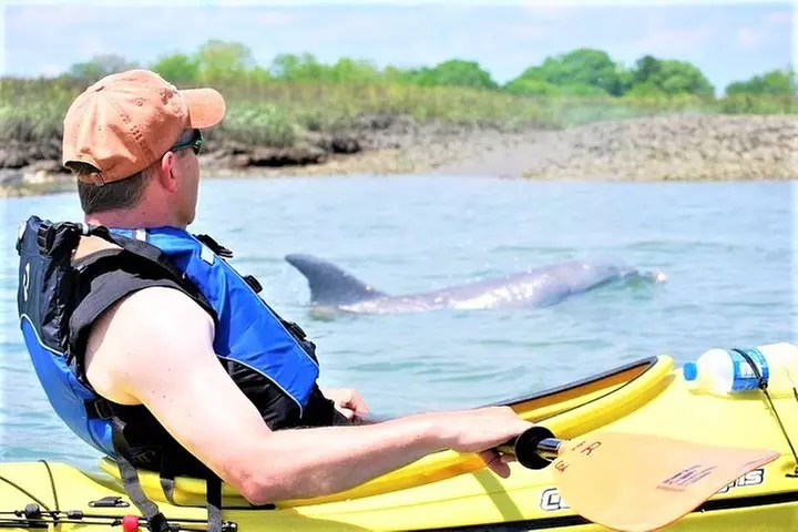 2-Hour Guided Kayak Eco Tour in Charleston