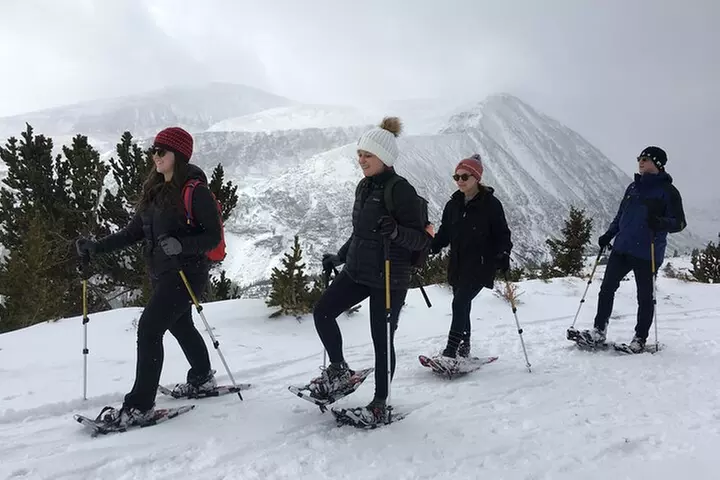 Half Day Guided Snowshoe Tour Near Breckenridge - Primary Image