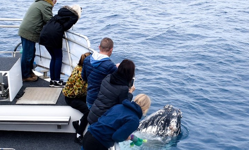 Image 3: Phillip Island Whale Watching Tour