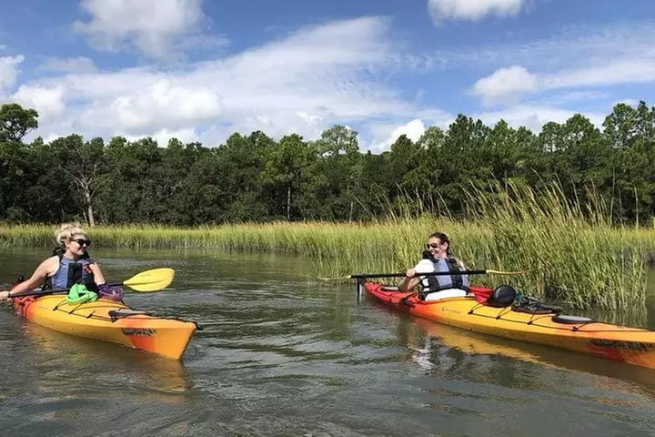2-Hour Guided Kayak Eco Tour in Charleston