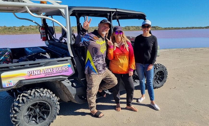 Image 3: Pink Lake Small-Group Buggy Tour