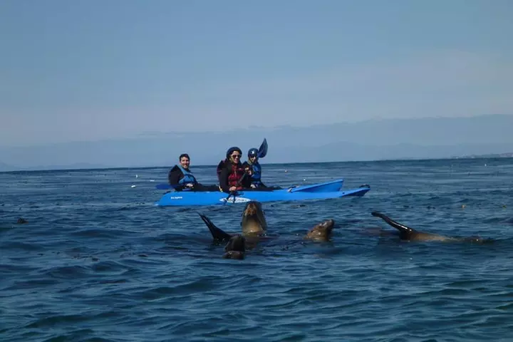 90 Minute Kayak Rental In La Jolla - Primary Image