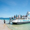 Image 6: Express Day Tour to Frankland Islands Great Barrier Reef