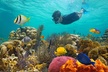 Key West 2 Reef Snorkel Tour & Sunset Cruise with Beer & Wine - Second Medium