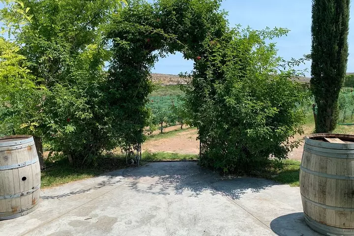 Arizona Winery All-Inclusive Tour with Lunch & Tastings