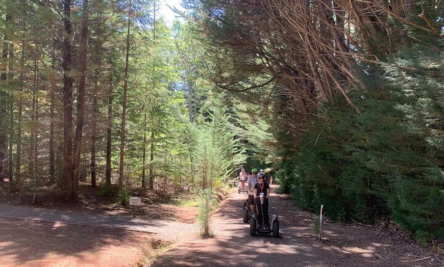 Image 3: Launceston: Hollybank Treetops Adventures - Segway Tour
