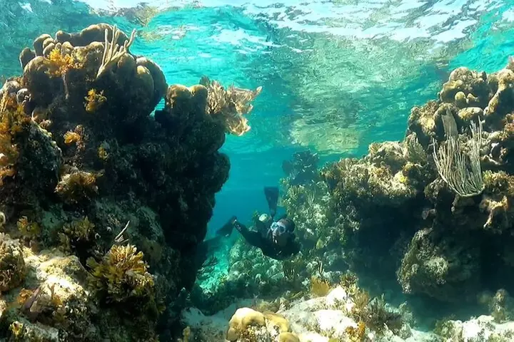 All-inclusive day-trip from Nassau to Andros Bahamas - Primary Image