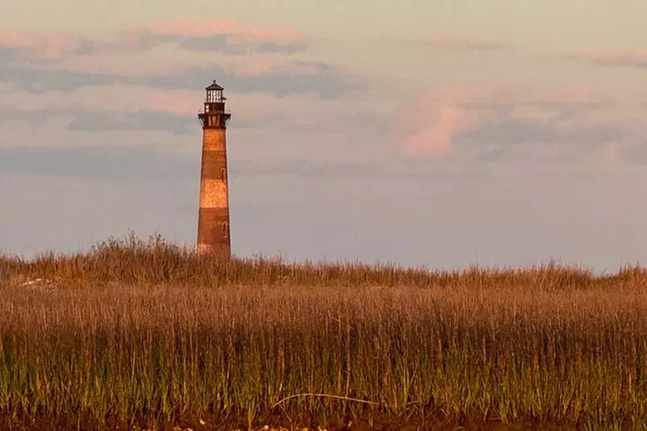 Private Charleston Dolphin and Eco Boat Tour