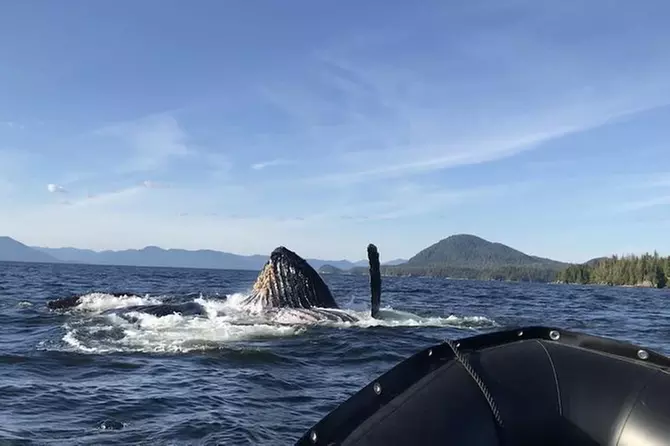 Alaska Ocean Wilderness Expedition - Primary Image
