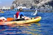 Tenerife : Tour en Kayak Tortuga & Delfines con Snorkel & Traje de Surf - Image 6
