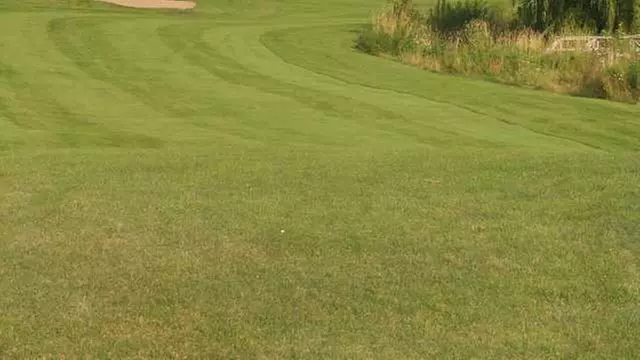 Online Booking - Round of Golf at Nine Springs Golf Course - Primary Image