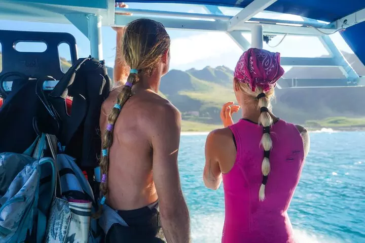 Oahu Swimming with Dolphins Speedboat Adventure