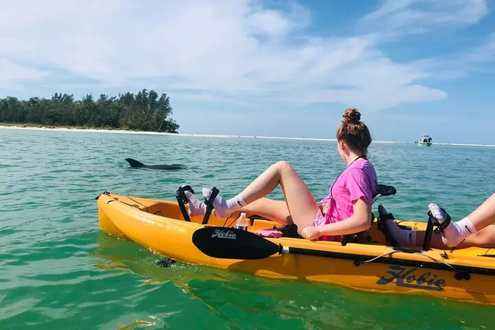 Deluxe Kayak Tour Marco Island and Naples, Florida