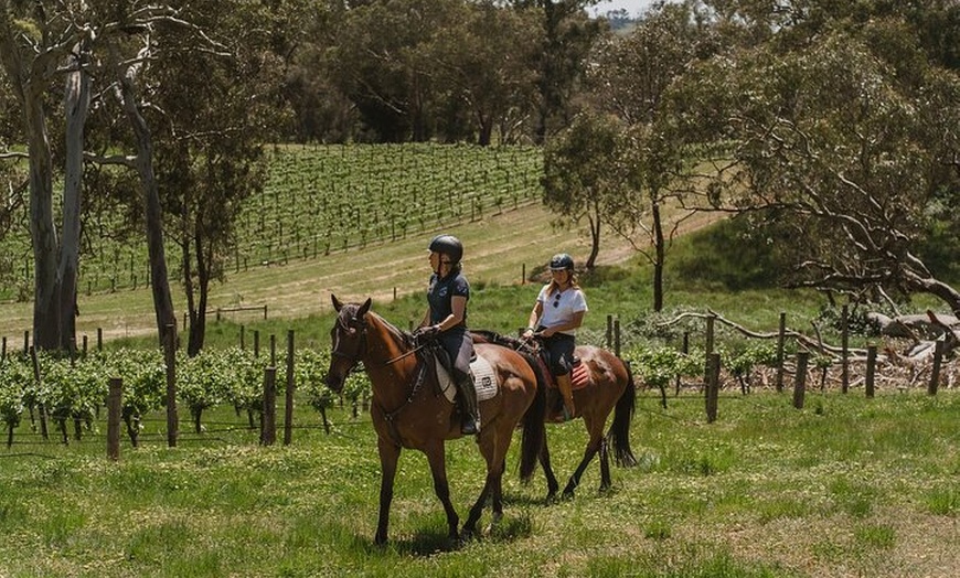 Image 4: Romantic Horse Trail Ride with Wine and Food in Adelaide Hills