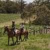 Image 4: Romantic Horse Trail Ride with Wine and Food in Adelaide Hills