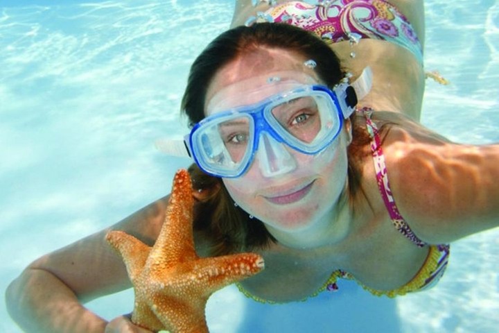 Key West Snorkeling with Breakfast and Unlimited Mimosas