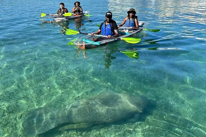 Morning Kayak Tour in Condado Lagoon - Primary Image