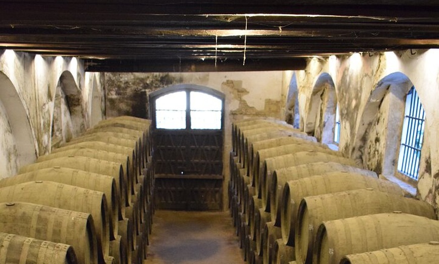 Image 3: Jerez Caballos y Bodegas Tío Pepe desde Estepona y Marbella