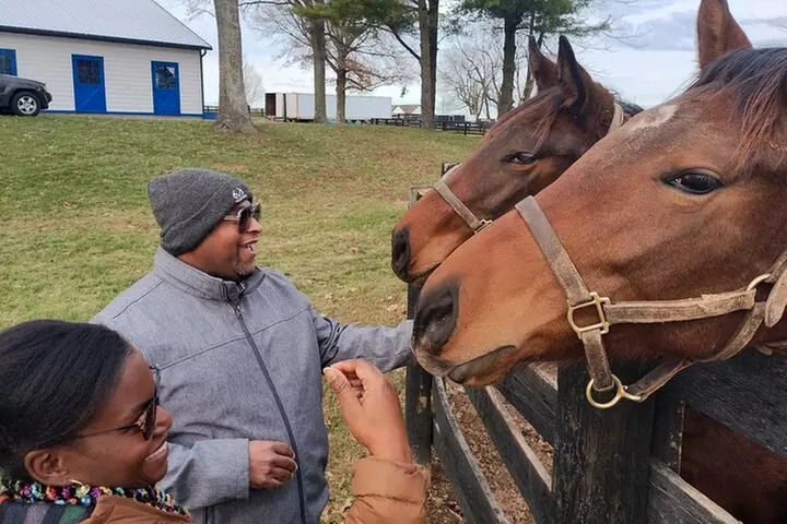 Half-Day Thoroughbred Horse Farm Tour in Kentucky