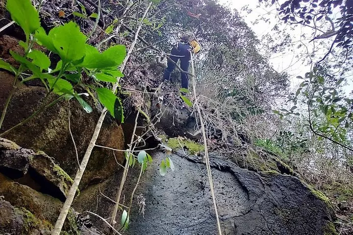 Private Jungle Waterfall Adventure, Wit Da Native Hawaiian Dundee