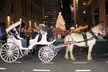 NYC Christmas Light and Rockefeller Center Tour - Second Medium