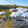 Image 4: England's Fastest Zipline at the Eden Project