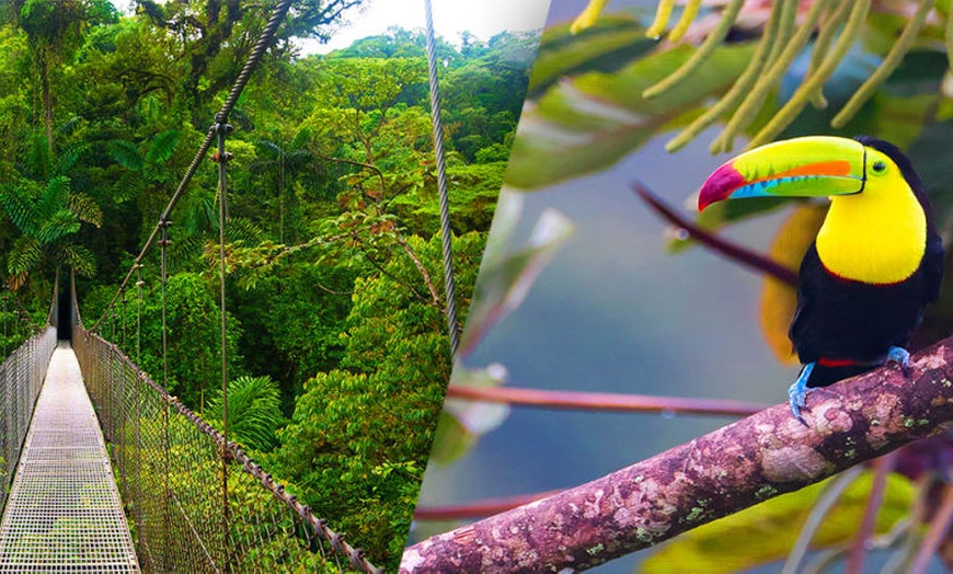 Image 1: ✈ COSTA RICA | San José - Autotour entre forêt tropicale et plage e...