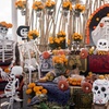 Image 1: The Day of the Dead Private Tour in Mexico City
