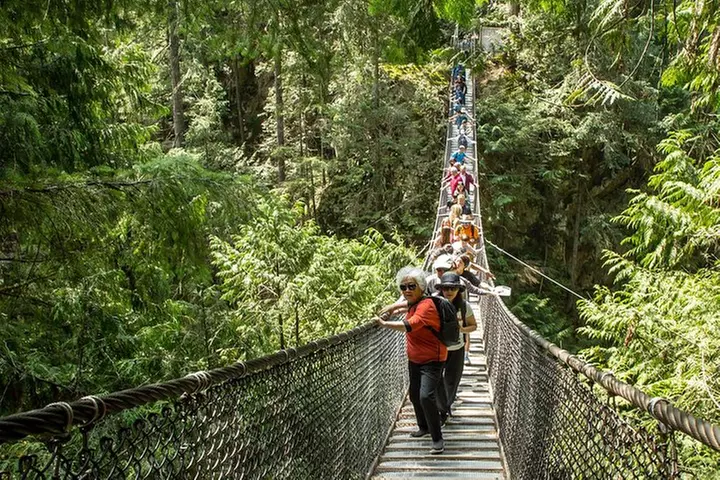 Mesmerizing Nature Walk in Lynn Canyon Park - Primary Image
