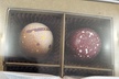 Galveston Sweets and Treats Tour - Second Medium