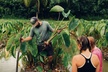 Kualoa Ranch: Malama Experience Tour - Second Medium