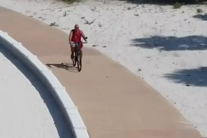 Half Day Bicycle Rental in Treasure Island