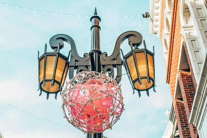 Christmas Lights in Beverly Hills - Private Guide and Free Coffee with Dessert - Primary Image