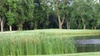 Online Booking - Round of Golf at Glenwoodie Golf Club