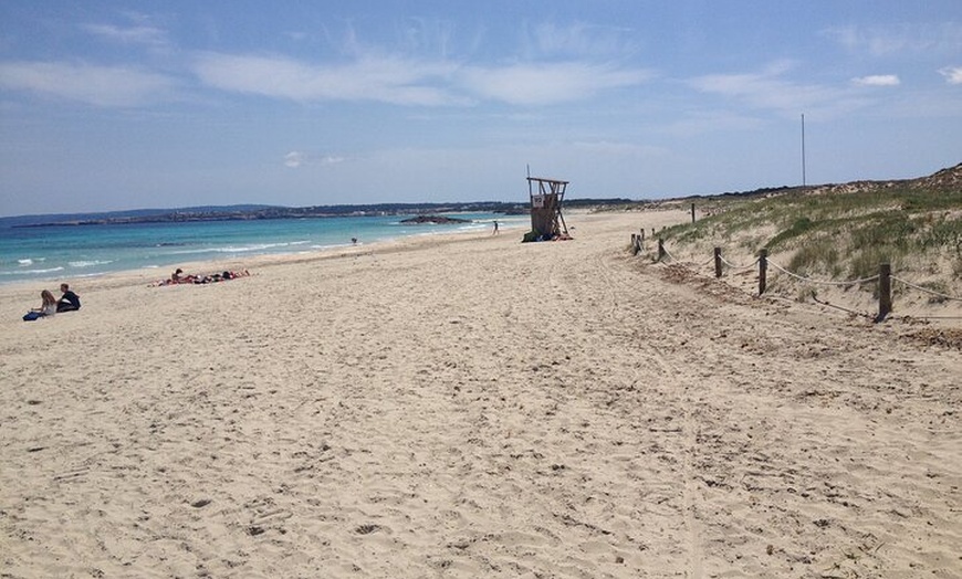 Image 8: Excursión a Formentera desde Ibiza con Transfer y Playas
