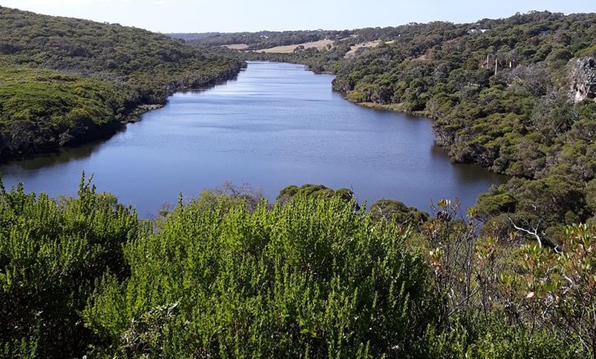 Image 3: Explore Margaret Rivers' national parks on a guided Cape to Cape tr...